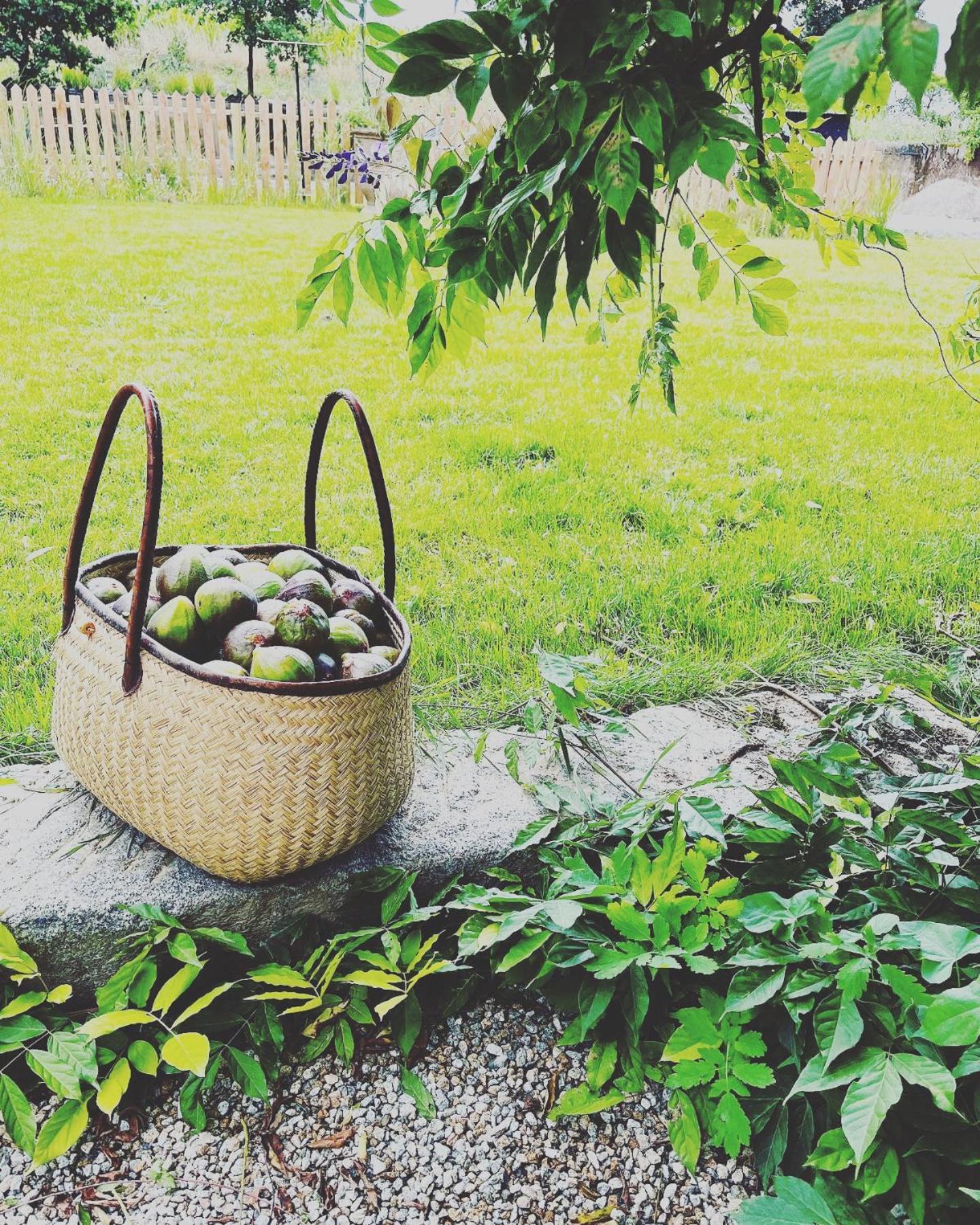 Domaine Du Tertre Ychot Hotel Dol-de-Bretagne Ngoại thất bức ảnh